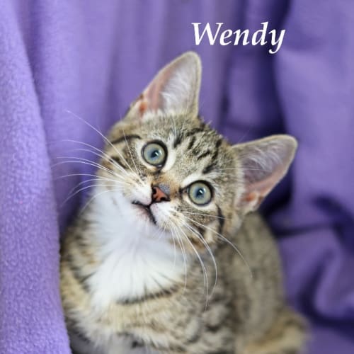 Wendy