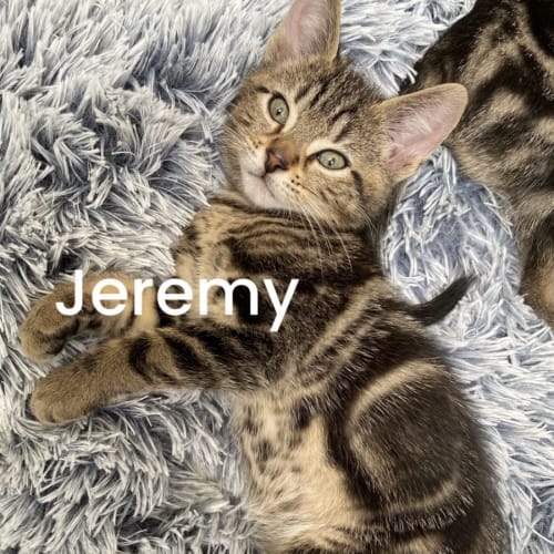 Jeremy