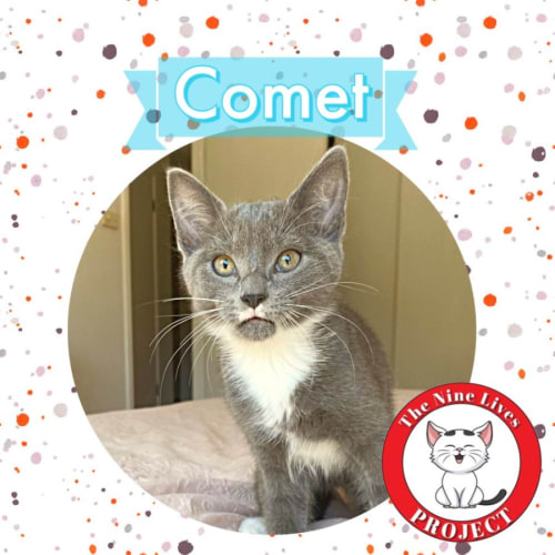Comet *9 Lives Project Rescue*