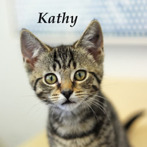 Kathy