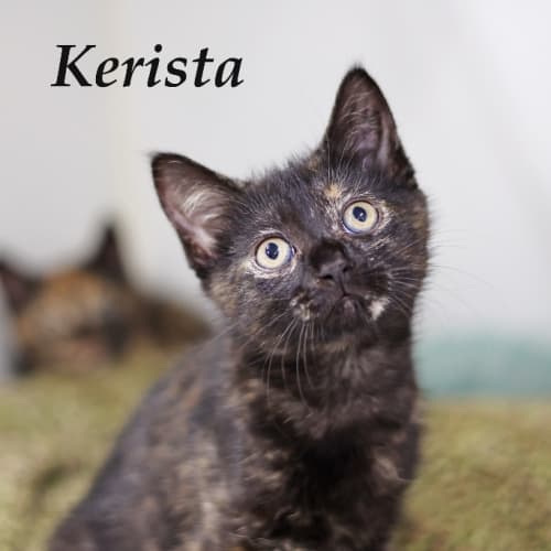 Kerista