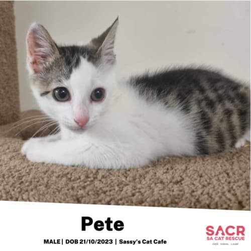 Pete