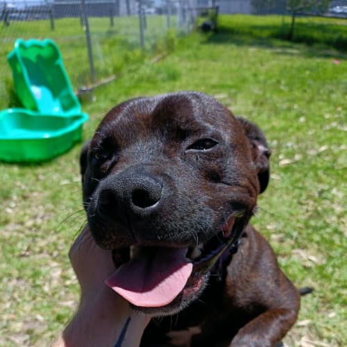 💸 Cash C04789 💸