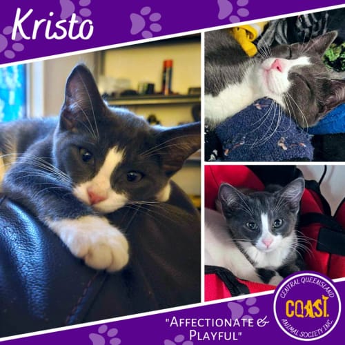 Kristo