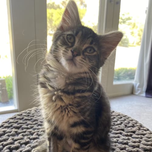 Mackenzie (aka Kennie)