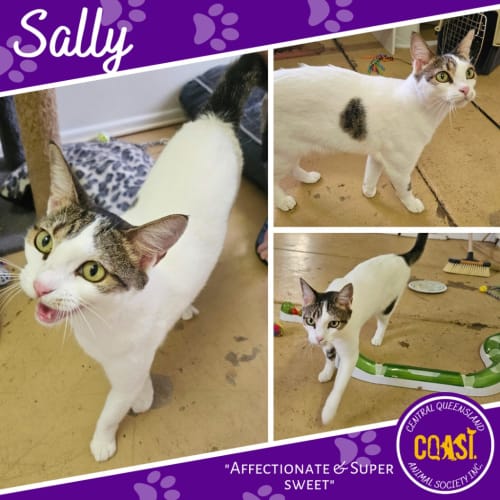 Sally