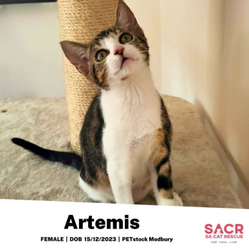 Artemis