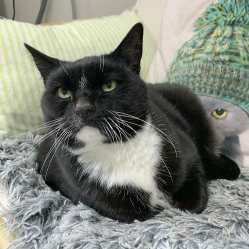 🌺 Valerie F02670 🌺