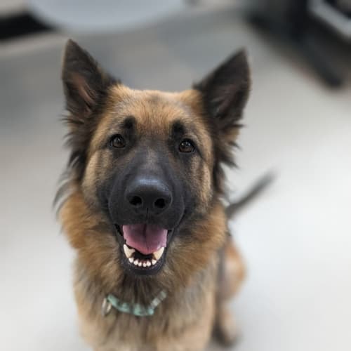 🪁 Sadie C04796 🪁