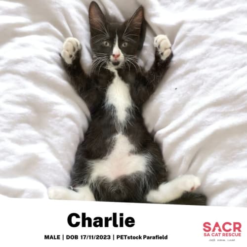 Charlie
