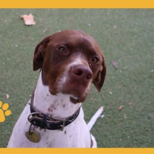 Jethro