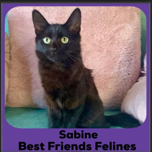 Sabine 