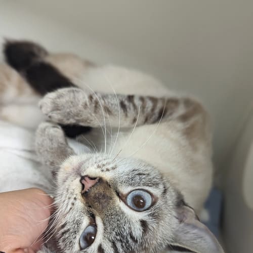 Luna
