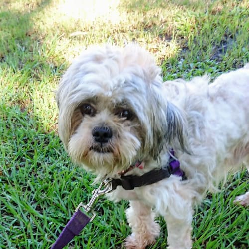 Bailey