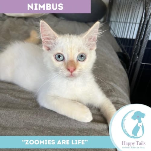 Nimbus