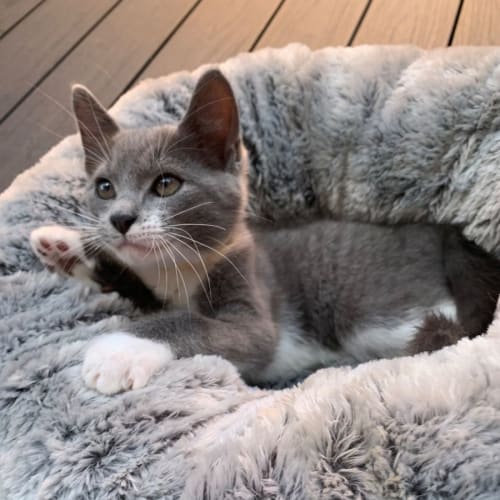 Denver 💙💙💙💙