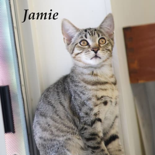 Jamie