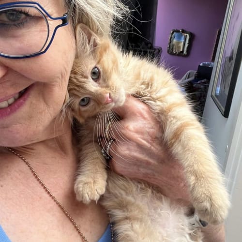 ❤️ Little Love ❤️ 