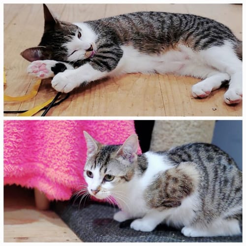 Sweet little Emmy & Drew 💗