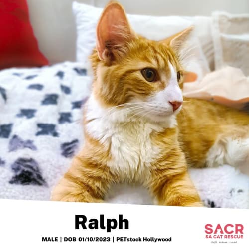 Ralph