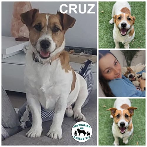 Cruz 
