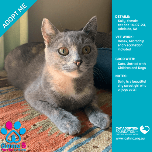 Sally Just $50 Limited Time!