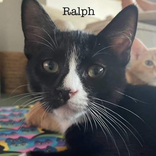 Ralph