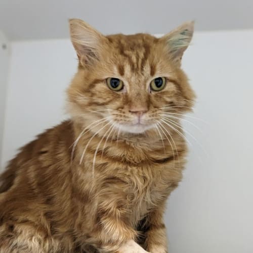 🕶 Vision F02820 🕶