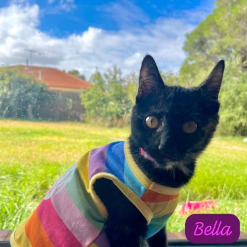 Bella