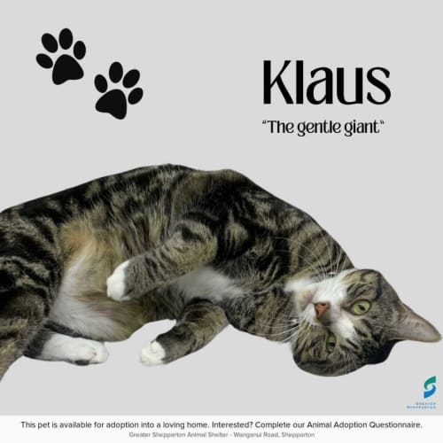 Klaus