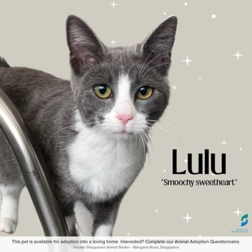 Lulu