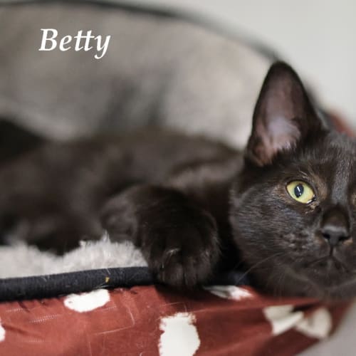 Betty