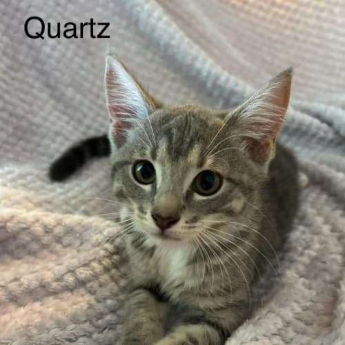 Quartz