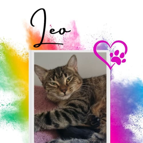 Leo