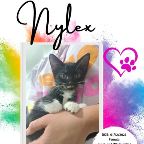 Nylex