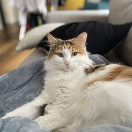 Kiki