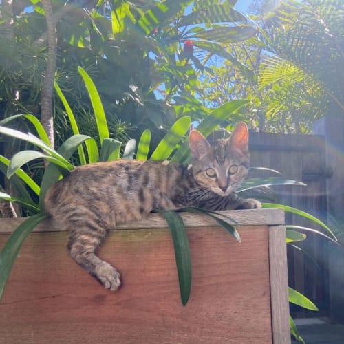 Barbara (Babsy for short)