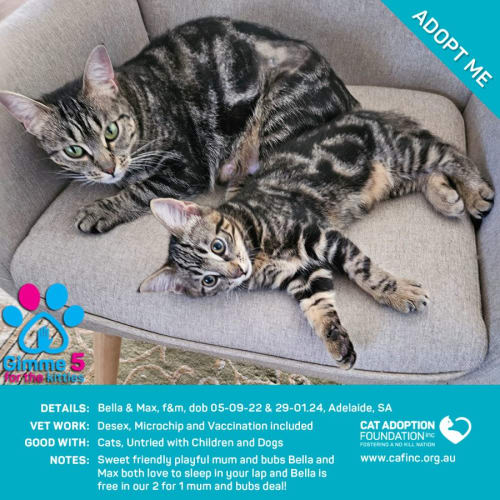 Bella & Max 2 for 1 Mum & Bubs Deal!