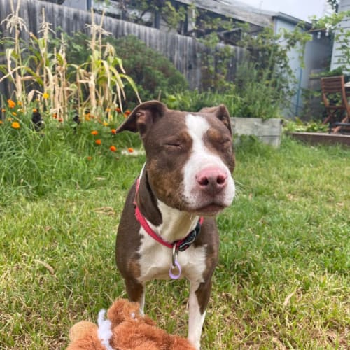 Linda the lovelies lady 