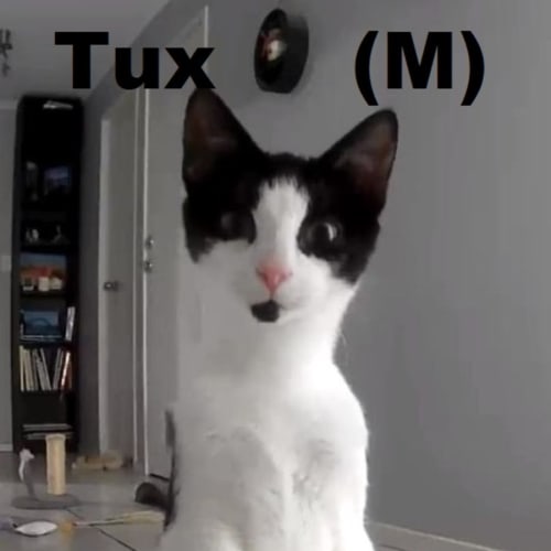 Tux