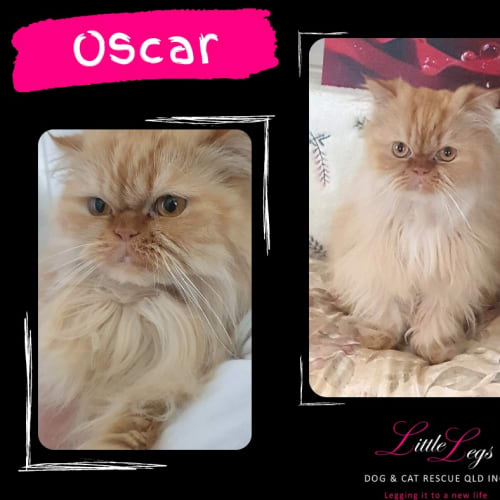 Oscar