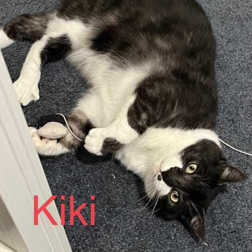 Kiki