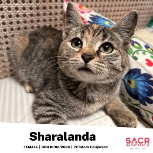 Sharalanda