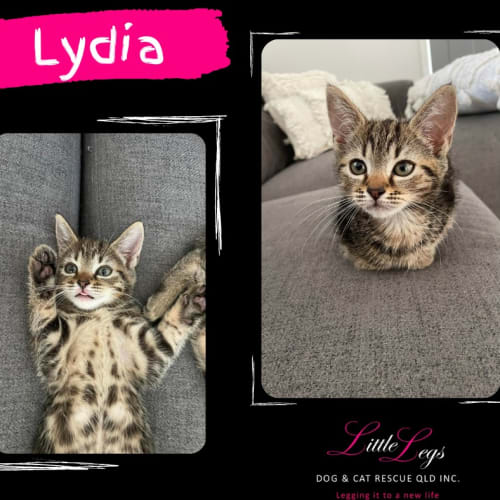 Lydia