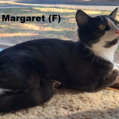 Margaret