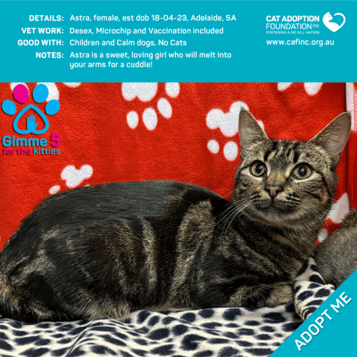 Astra Only $39 Limited Time!