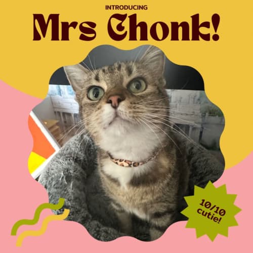 Mrs Chonk 🎀🌸🩷