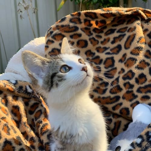 Mia 🩷🩷🩷🩷🩷🩷