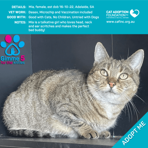 Mia Only $39 Limited Time!