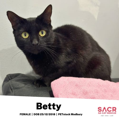 Betty